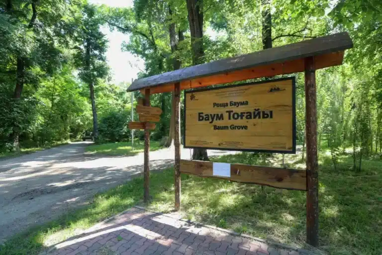 В роще Баума в Алматы выявили незаконную вырубку деревьев
