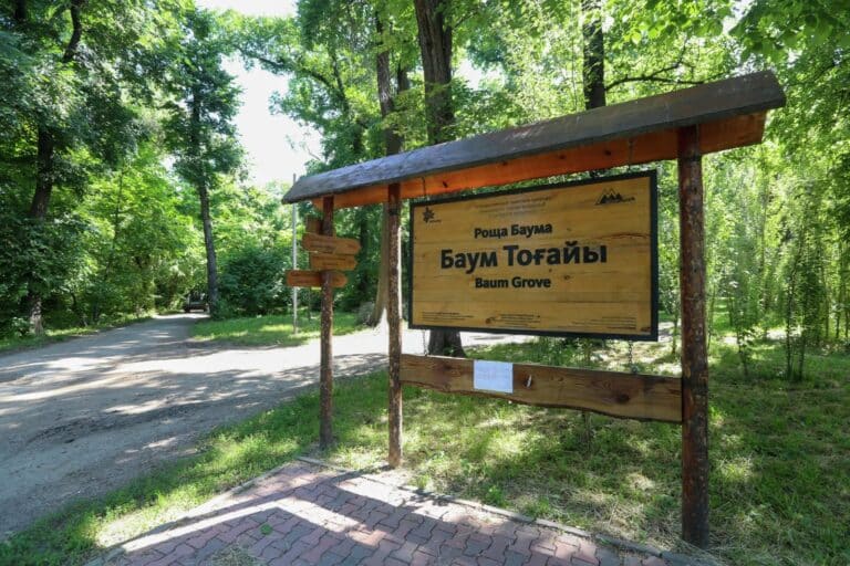 В Алматы просят сохранить рощу Баума от массовой вырубки