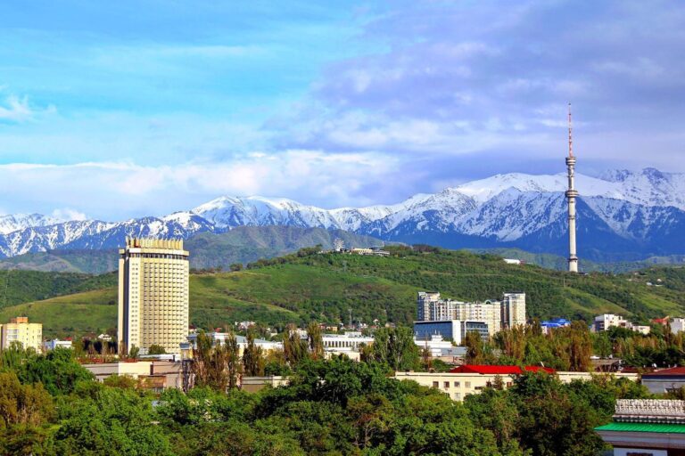 Алматы әкімдігі қалада бағаны бақылап отырғанын мәлімдеді
