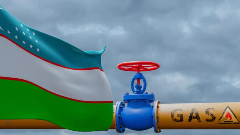 Казахстан пытается отсудить у Узбекистана $2 млн за транспортировку газа