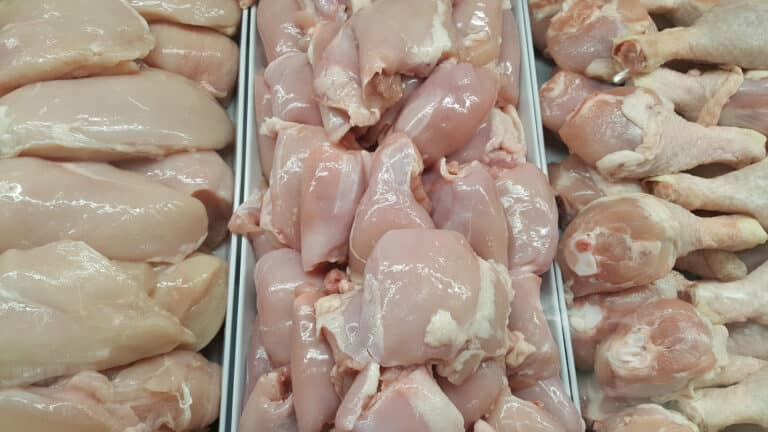 Птицефабрику за 14 млрд тенге строят в области Жетысу