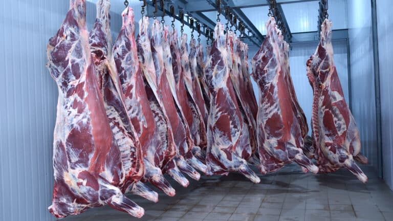 Казахстан покрывает недостаток говядины за счет импорта