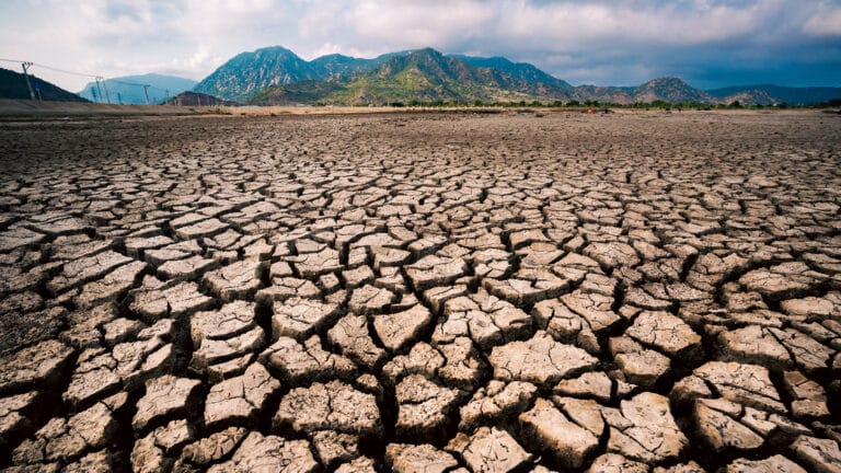 Жара и засуха усиливаются в Казахстане