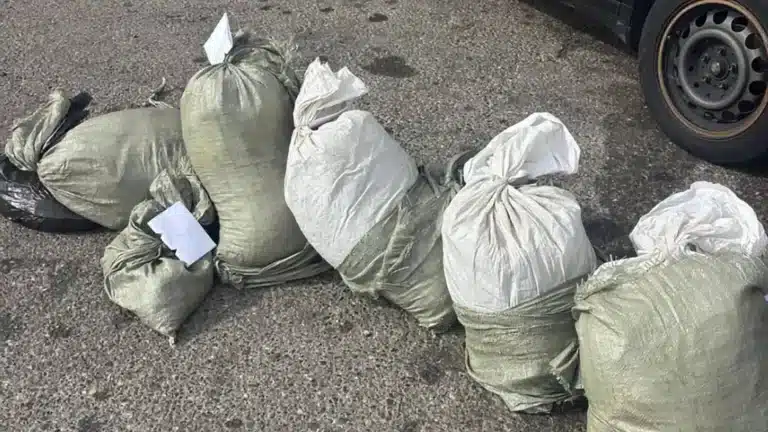 Полиция перекрыла канал сбыта наркотиков на 3 млрд тенге