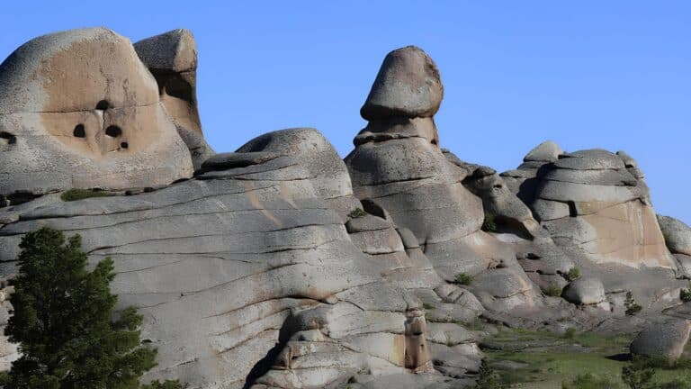 Біреудің жыныс мүшесі – біреуге ермек пе: әлемде бар қызық коллекциялар