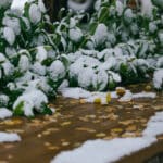 снег Алматы