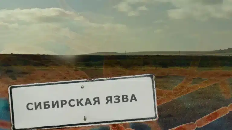 Жители Байсерке обеспокоены захоронением сибирской язвы рядом с домами