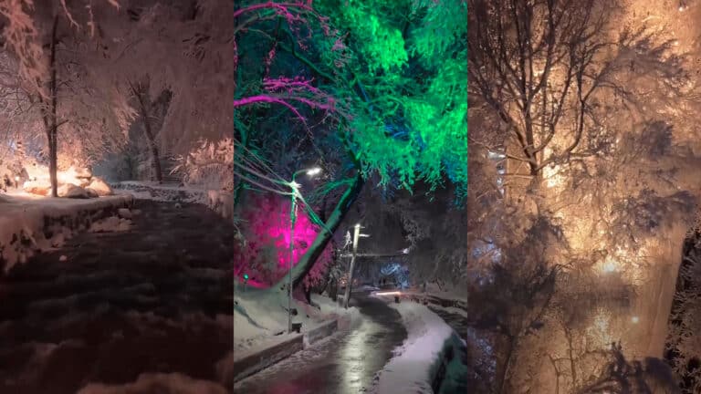 Терренкур украсили подсветкой с эффектом «Северного сияния»