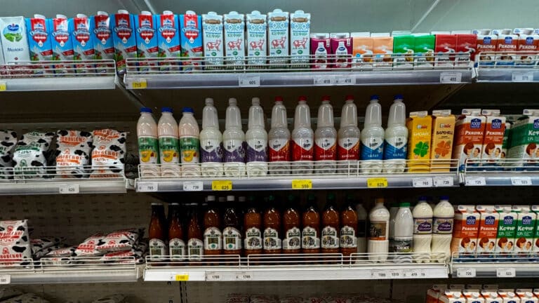 Казахстанские кумыс и шубат могут попасть на полки более 300 тыс. магазинов в Китае