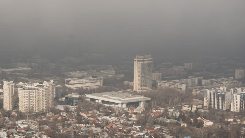 Фото: shutterstock, бильд-редактор: Адэлина Мамедова