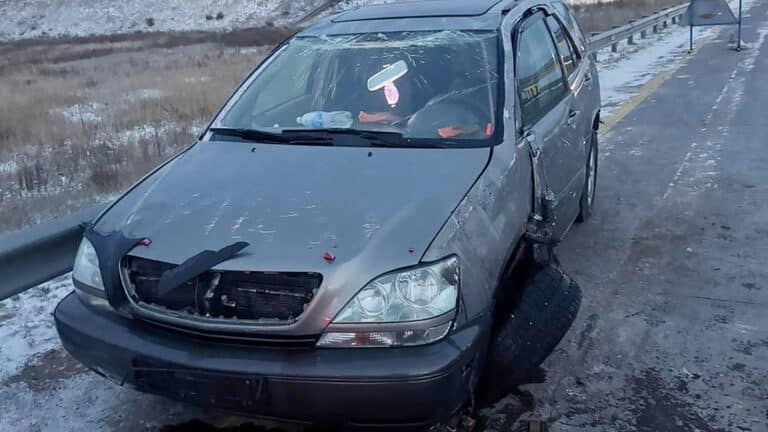 Казахстанка ищет водителя, который спас ее родителей после ДТП на трассе