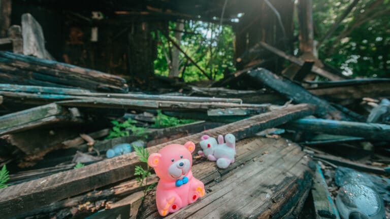 Один год был самому маленькому ребенку, погибшему в пожаре Туркестанской области