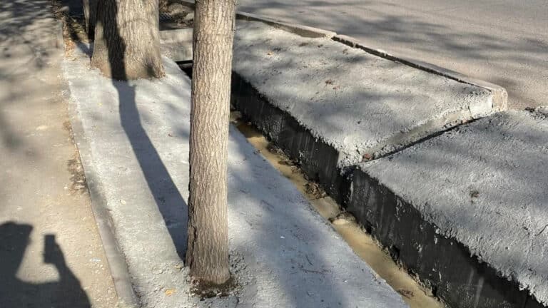 Рабочие забетонировали деревья и зеленые насаждения в центре Алматы