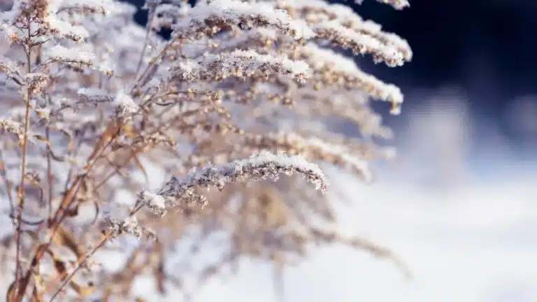 Күн күрт суытады: синоптиктер алдағы күндерге болжам жасады