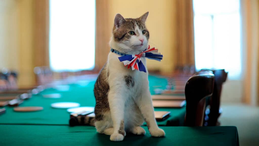 Фото: Ben Stansall/PA Media