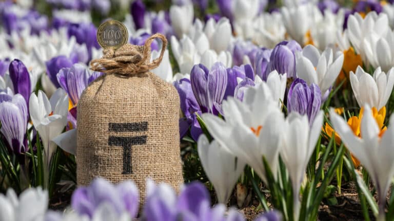 Сенат вернул в мажилис бюджет на 2026-2028 годы, попросив больше денег на расходы