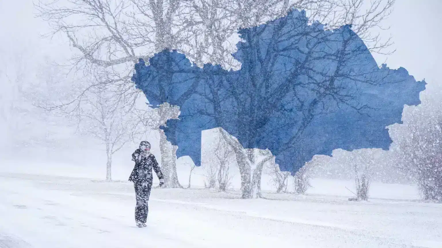 синоптики