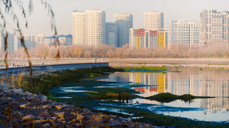 Солнце на Сайране: Алматы задержала осень до конца ноября