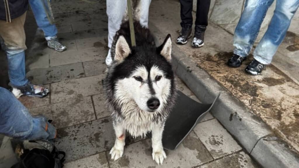 Фото: threads.com/@juliachepurina, бильд-редактор: Адэлина Мамедова