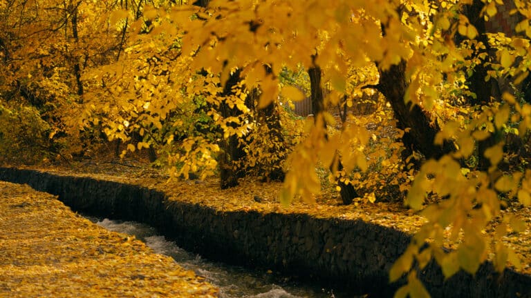 Парки и скверы Алматы, в которых стоит провести последние теплые дни осени