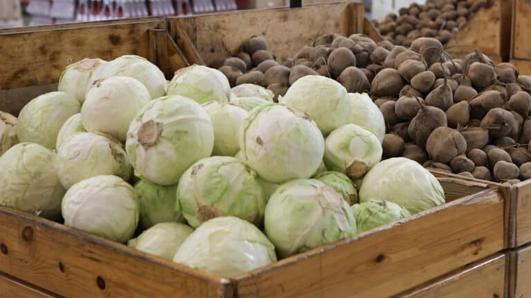 В Казахстане подешевели мясо, рис, сахар, морковь, капуста, яйца и соль