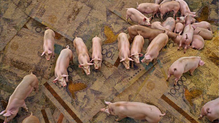 Миллионер Баймуратов из Forbes вернул государству 5,6 млрд тенге за свиноферму