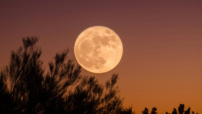 November’s supermoon: What to know about the year’s brightest full moon