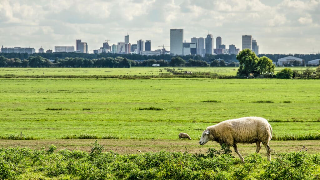 Фермерам Астаны, Алматы и Шымкента предоставят субсидии от государства, shutterstock, бильд-редактор: Адэлина Мамедова
