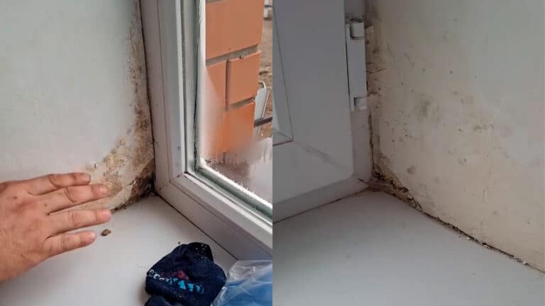 Дома со стекающей по стенам водой построили для жителей Кокпекты