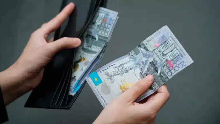 Елде 545 мың теңгеге дейінгі арнайы жәрдемақыны кімдер алуға құқылы