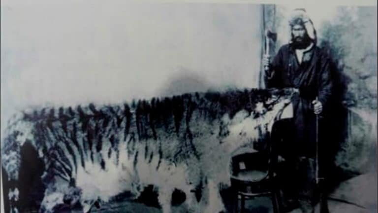 Asia's lost king: The story of the Turan tiger