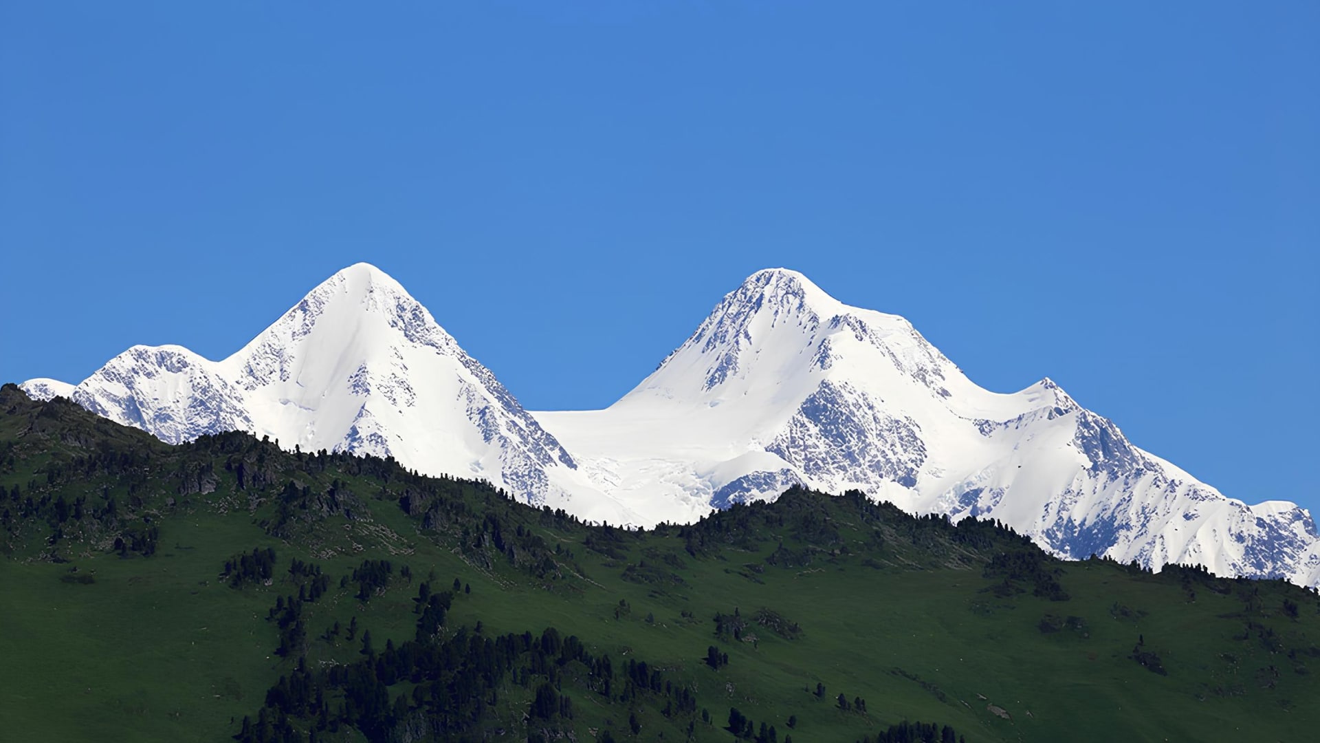 Белуха