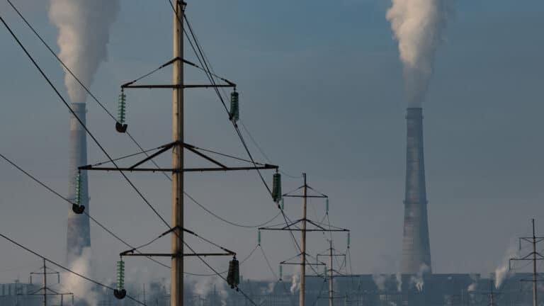 Полынь, а не смог, стала основной причиной обострения аллергий у алматинцев