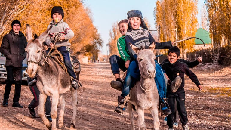 Токаев заявил, что на селе стало жить лучше