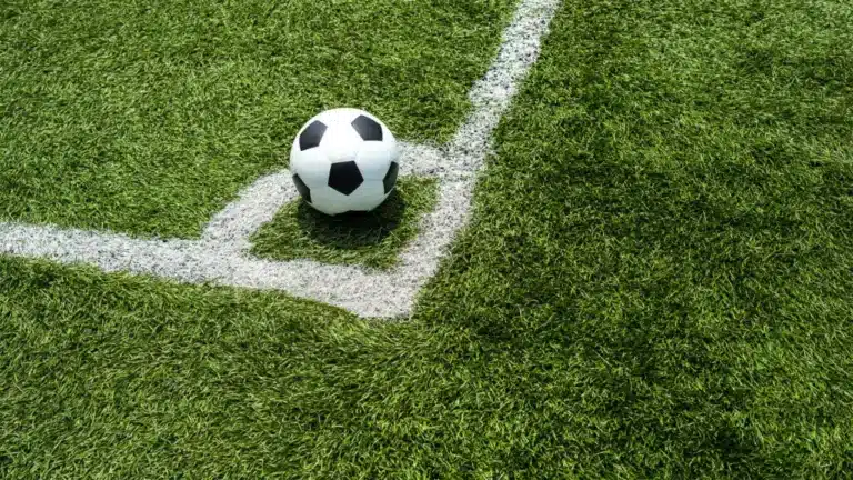 Елдегі барлық футбол клубтары жекеменшік инвесторларға берілмек