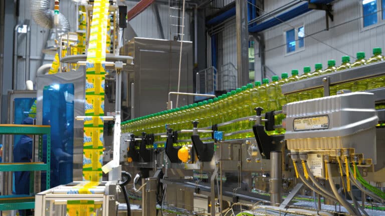 Бизнесмен Алагузов направил 18 млрд тенге на расширение завода «Maxi чай»