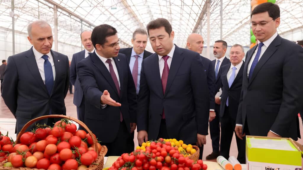 Первый урожай томатов собрали в турецкой теплице в Шымкенте стоимостью $650 млн, gov.kz, бильд-редактор: Адэлина Мамедова