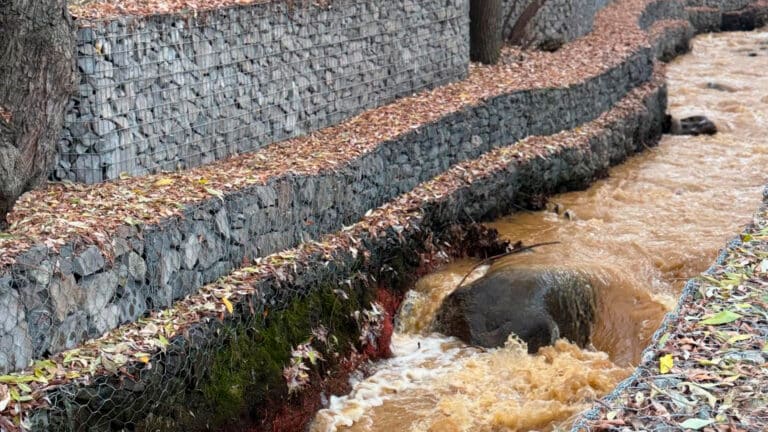 В департаменте экологии Алматы не знают, что случилось с рекой на Терренкуре