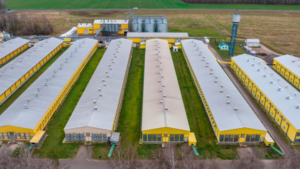 Компания миллионеров из Forbes выплатит им миллиардные дивиденды/alelagro.kz, бильд-редактор: Дастан Шанай