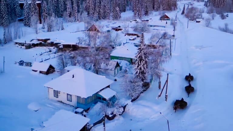 Самая снежная деревня Казахстана удивила пользователей зимними пейзажами