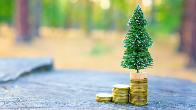 Будет ли ажиотажный рост цен на продукты перед Новым годом