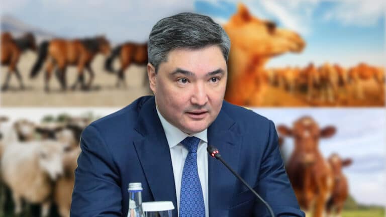 Көшпелі мал шаруашылығы жанданады: Үкімет жоспар әзірлеп жатыр