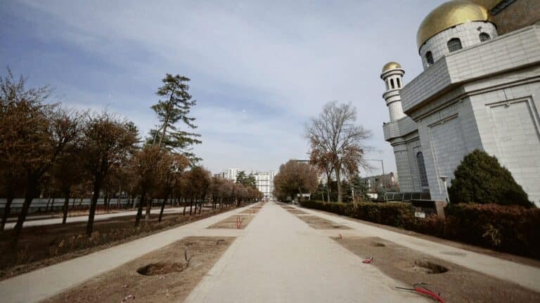 Новая пешеходная улица для прогулок появилась в Алматы