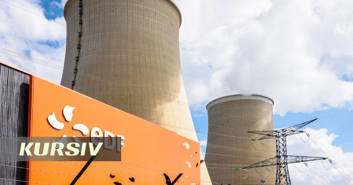 EDF signals readiness to work with China, rejects Rosatom