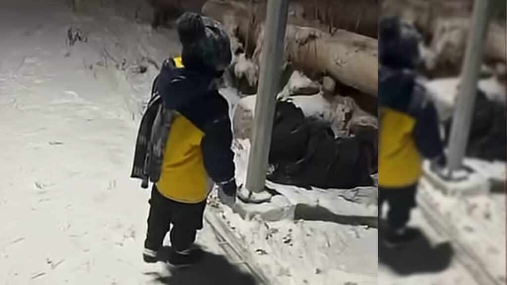 Қарағанды жол апаты