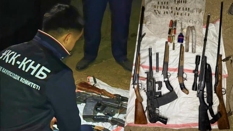 Қазақстанда бір айда 40 заңсыз қару тәркіленді