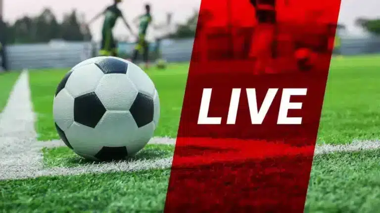 Франция - Украина, Ирландия - Португалия: ӘЧ іріктеу ойындарын қайдан көруге болады?