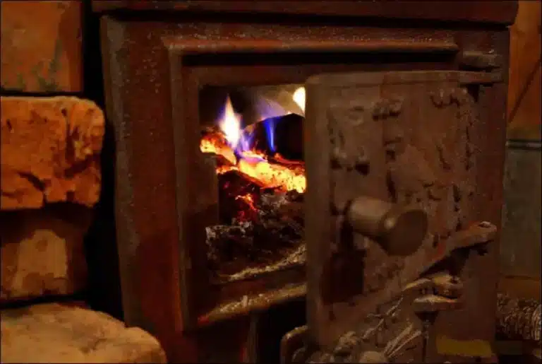 Cарыағашта бір отбасынан 7 адам уланып қалды