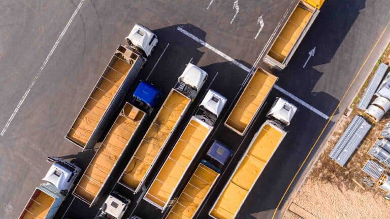 Биыл 27 млн тонна астық жиналды: сапасы қандай