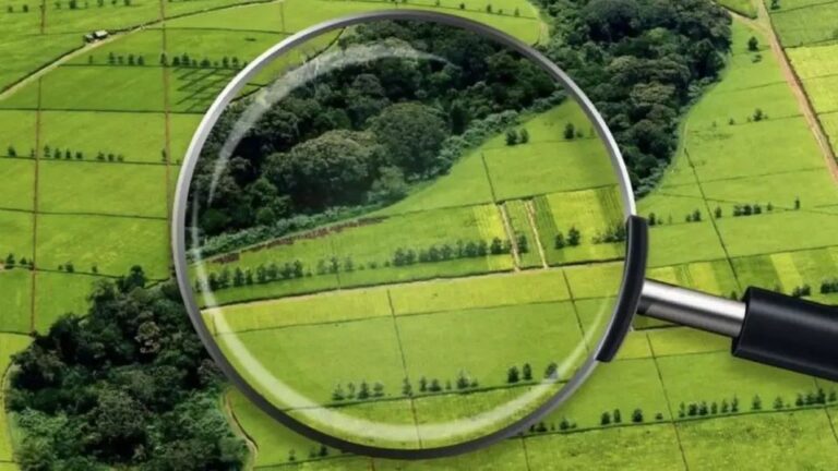 Жайылымдық жер ауыл тұрғындары мен инвесторларға  берілуі керек